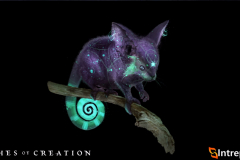 1_pre-alpha_stream_6