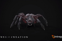 spider_1